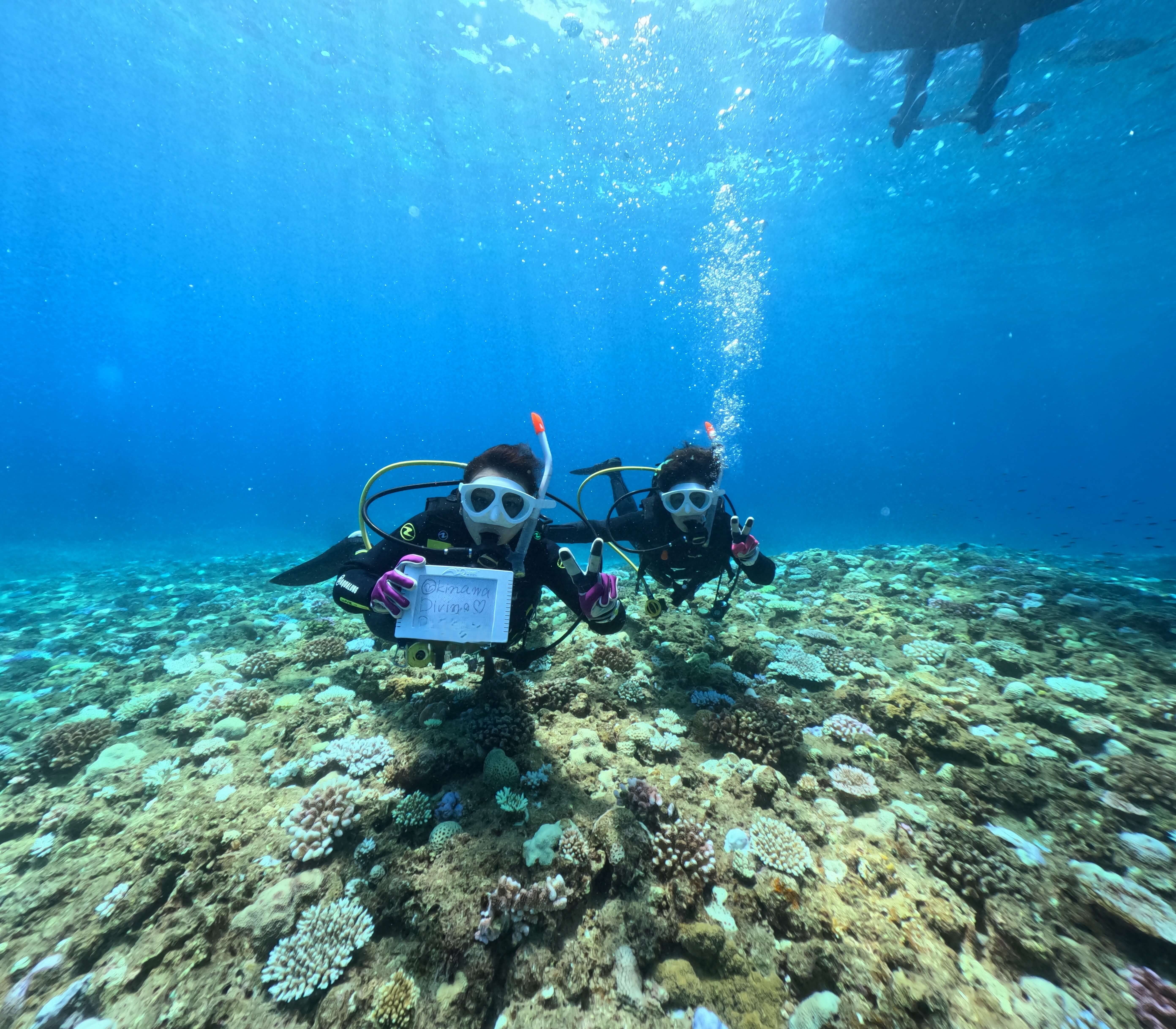 少人数制だから、自分のペースで安心して潜れます