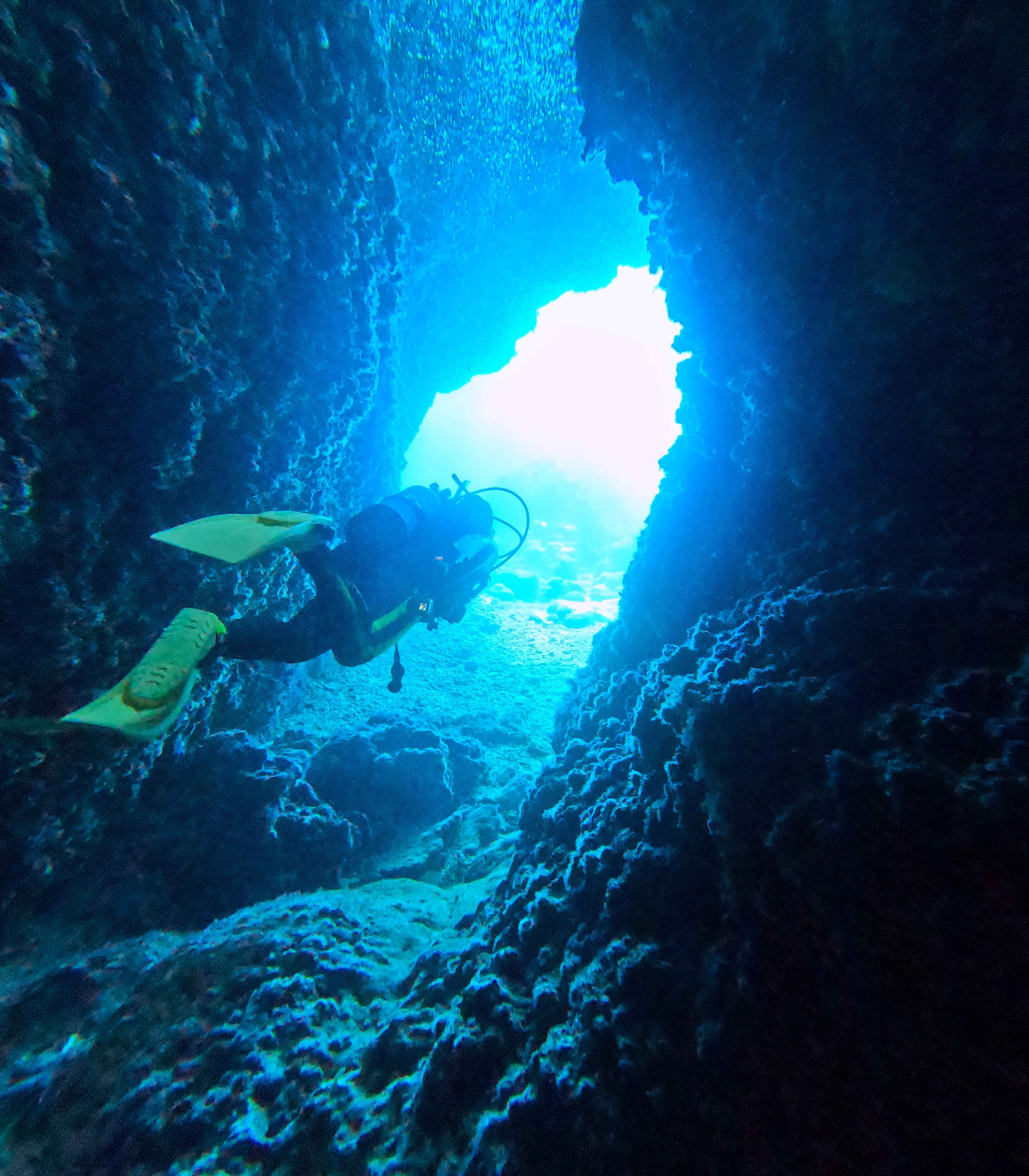 地形ポイント。先頭で泳ぐと、景色がよく見えます。