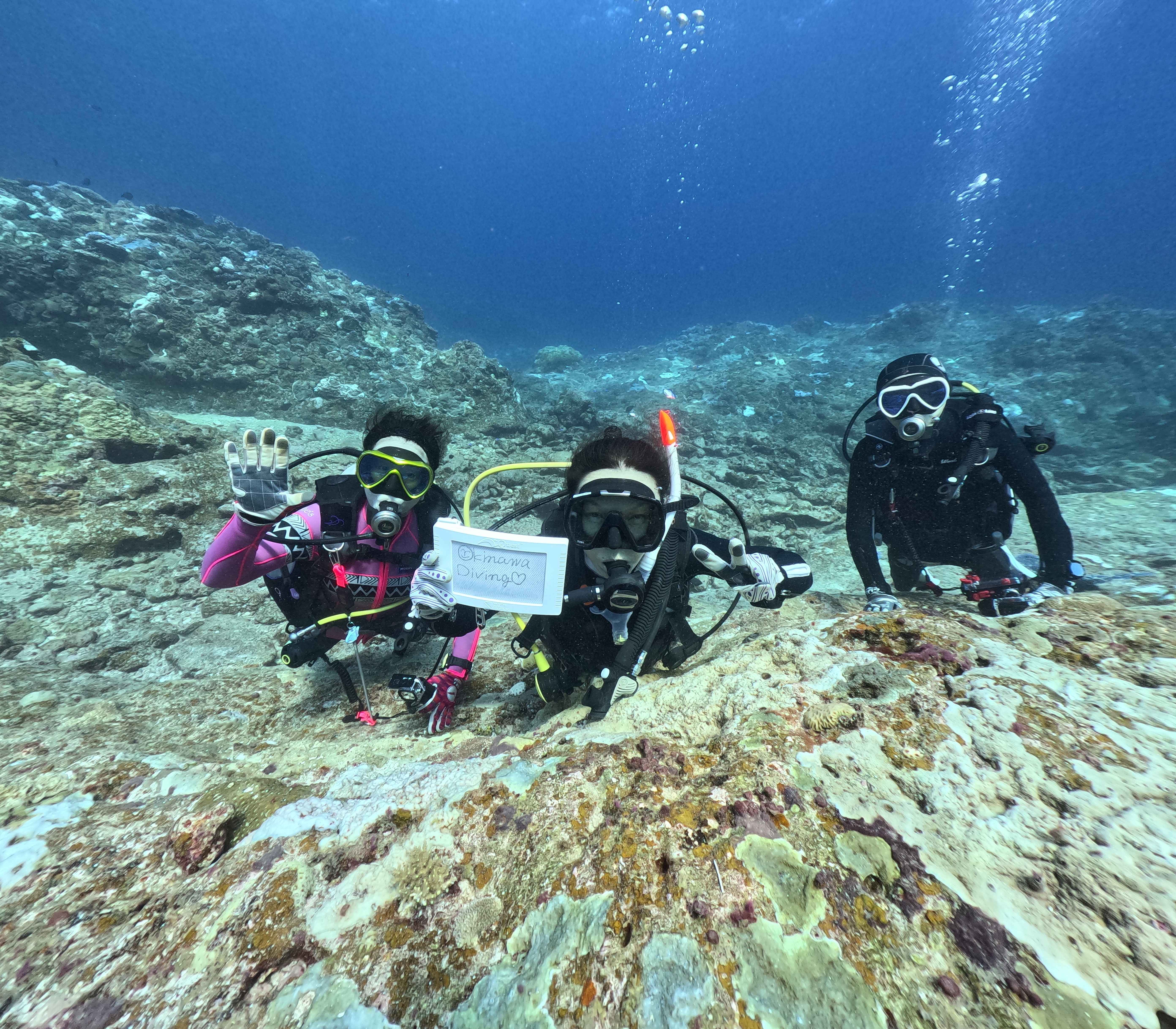少人数制。気兼ねなく、水中を遊ぶ。