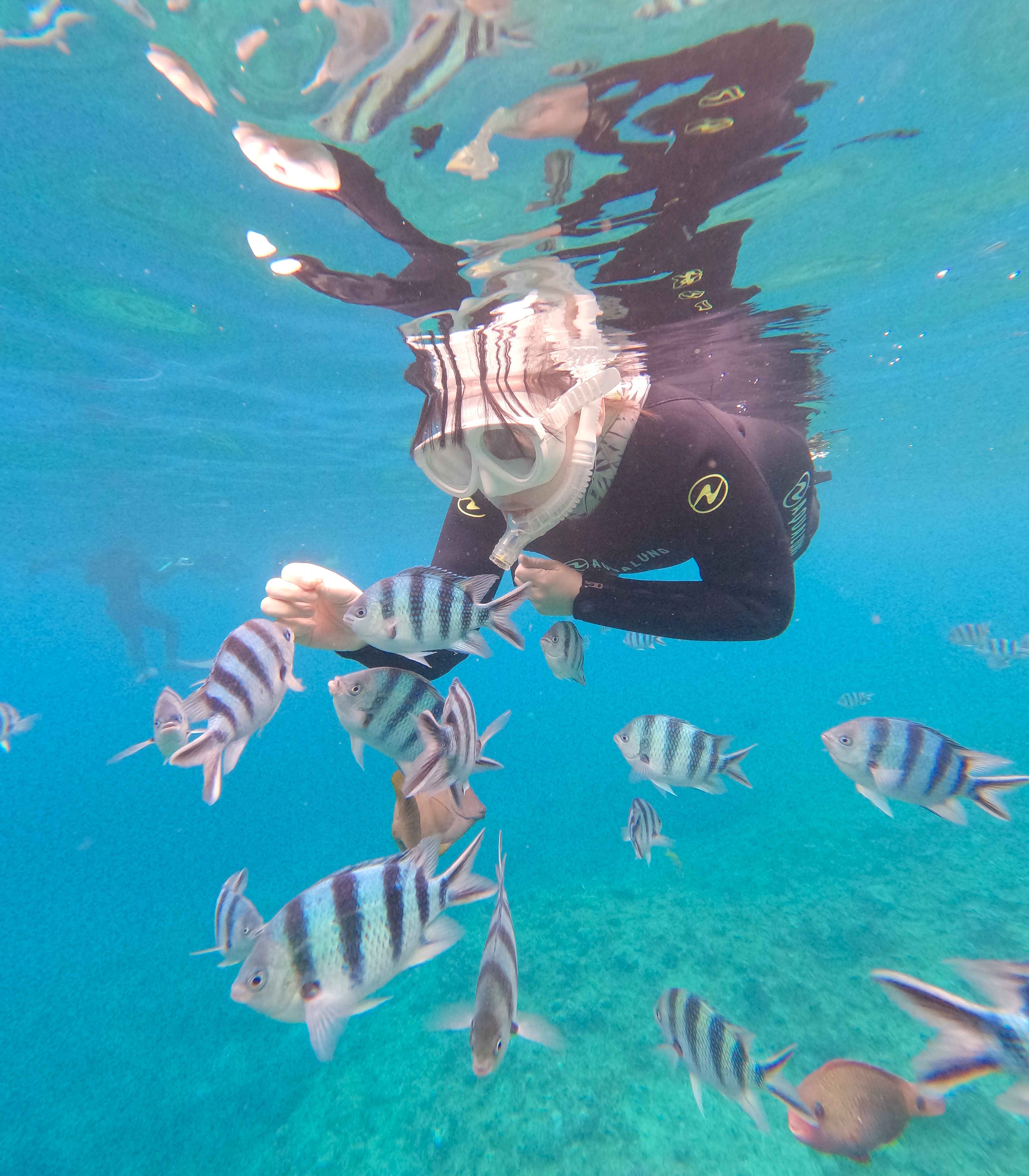 夢中になってしまう時間でした