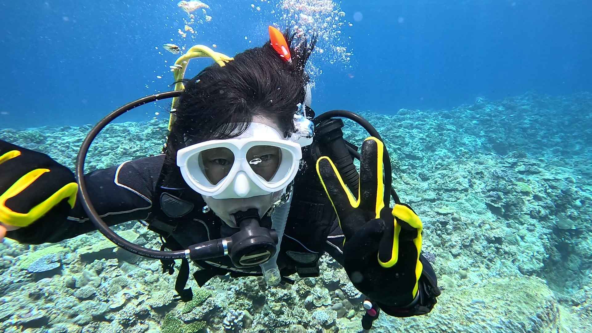 この距離感がいちばん安心する。