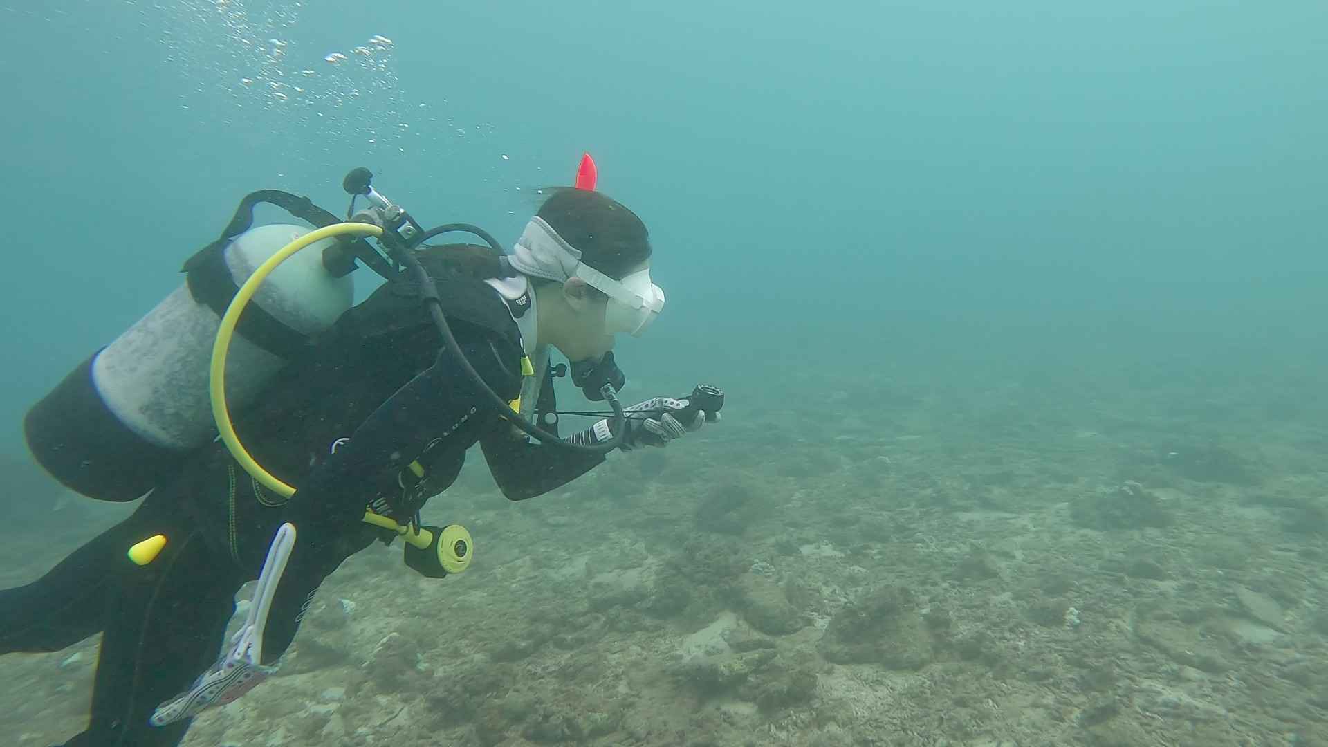 ダイビングライセンス講習のひとコマ