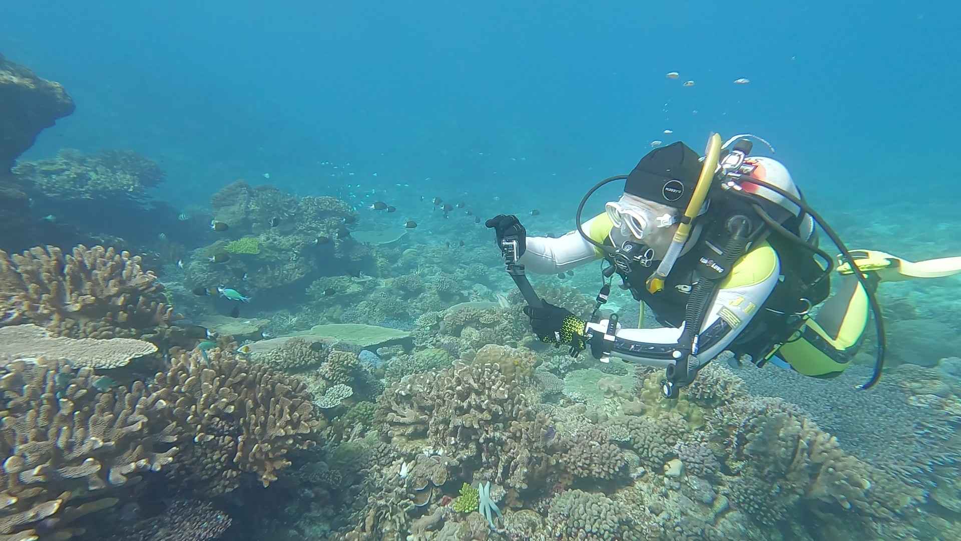 思い出作りのプロとして、水中写真や動画もたくさん撮影しています