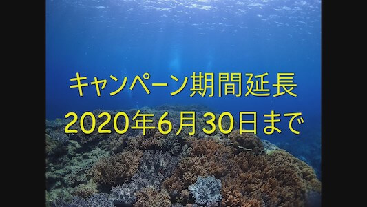 キャンペーン期間延長!!!